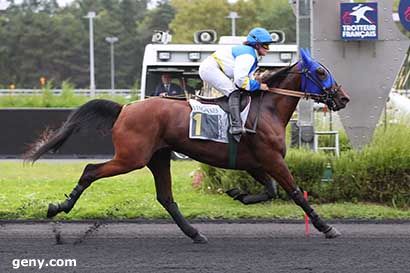 10/09/2024 - Vincennes - Prix Musca : Arrivée