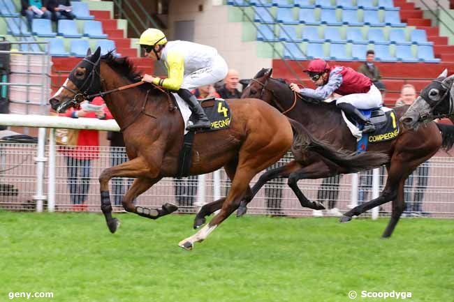 25/09/2024 - Compiègne - Prix de la Forêt de Retz : Arrivée