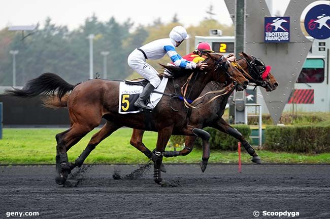 17/11/2024 - Vincennes - Prix de Brioude : Arrivée