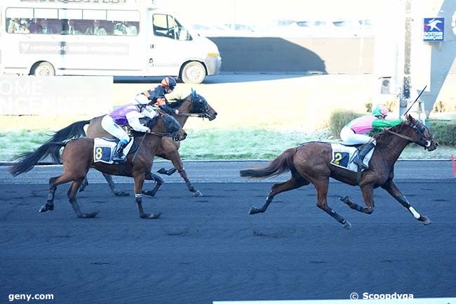 14/01/2025 - Vincennes - Prix de Montreuil : Arrivée