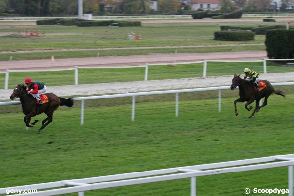 10/11/2007 - Toulouse - Grand National des Anglo-Arabes A 12.5 pc : Result