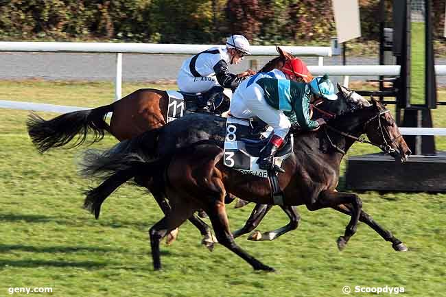 23/10/2008 - Maisons-Laffitte - Prix Glorieuse : Result