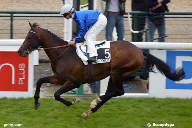 17/05/2009 - ParisLongchamp - Prix de Saint-James : Result