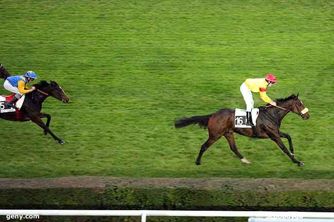 31/10/2010 - Saint-Cloud - Prix du Triangle de Rocquencourt : Arrivée