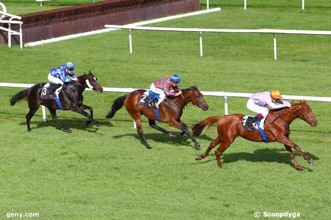 17/10/2013 - Fontainebleau - Prix de la Porte Nadon : Arrivée