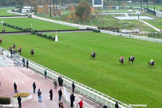 17/11/2013 - Auteuil - Prix Léon Olry-Roederer : Arrivée