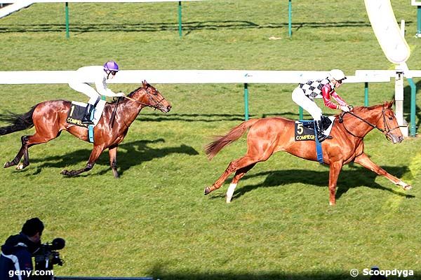 10/03/2014 - Compiègne - Prix du Polygone : Arrivée