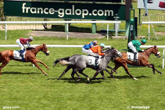 14/05/2014 - Saint-Cloud - Prix Cléopatre : Arrivée