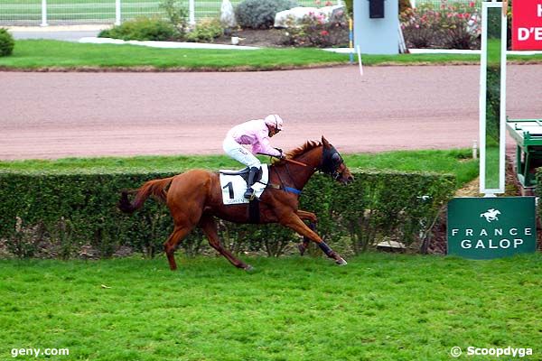 19/11/2014 - Enghien - Prix de l'Orne : Result