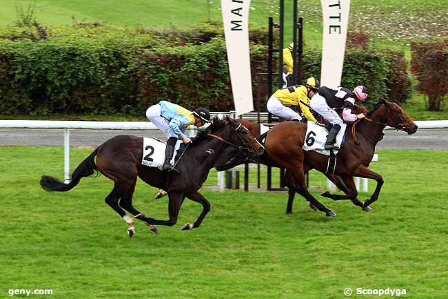 28/10/2015 - Maisons-Laffitte - Prix Noir et Or : Arrivée