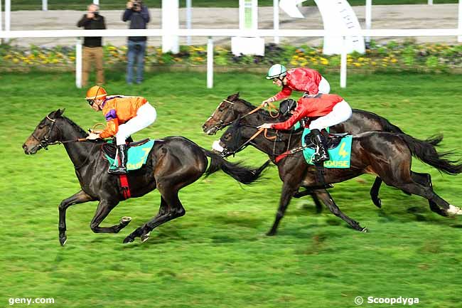 11/11/2015 - Toulouse - Grand National des Anglo-Arabes à 12.5 % : Ankunft