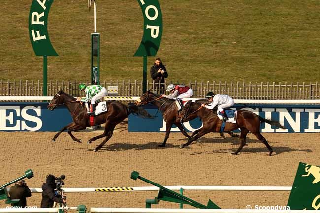 15/03/2016 - Chantilly - Prix de la Belle-Croix : Arrivée