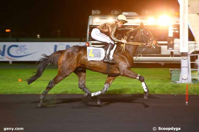 10/11/2017 - Vincennes - Prix Menkalinan : Arrivée