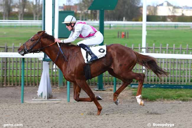 13/11/2017 - Chantilly - Prix de la Route de la Loge : Arrivée