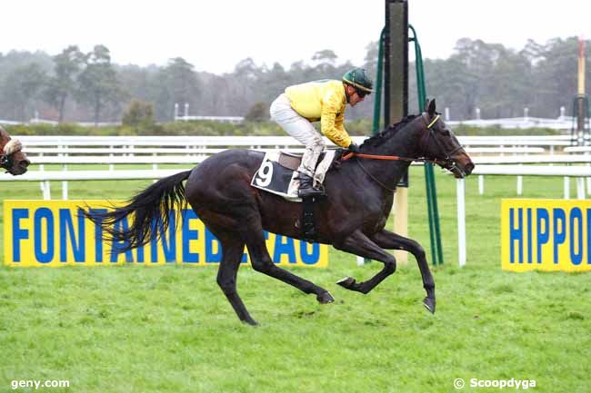 05/03/2020 - Fontainebleau - Prix des Trois Massifs : Arrivée