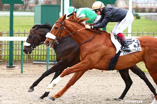10/03/2020 - Chantilly - Prix du Haras Au Bois : Arrivée