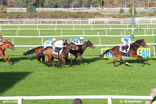 12/11/2020 - Fontainebleau - Prix Biloe Horlogerie Monte-Carlo : Arrivée