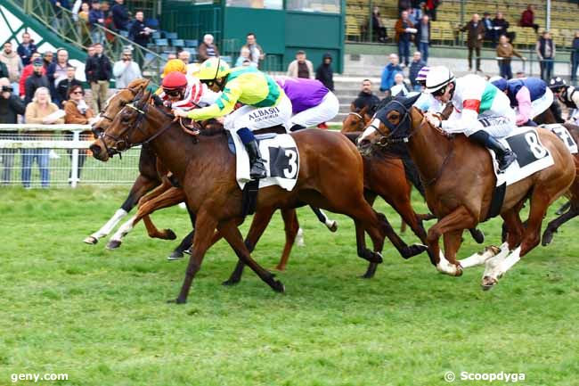 17/03/2023 - Fontainebleau - Prix des Peupliers : Arrivée