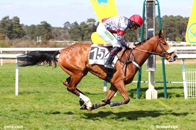 19/04/2023 - Fontainebleau - Prix Cabaret Masson : Arrivée