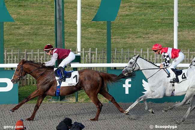 24/01/2024 - Chantilly - Prix Solow : Arrivée