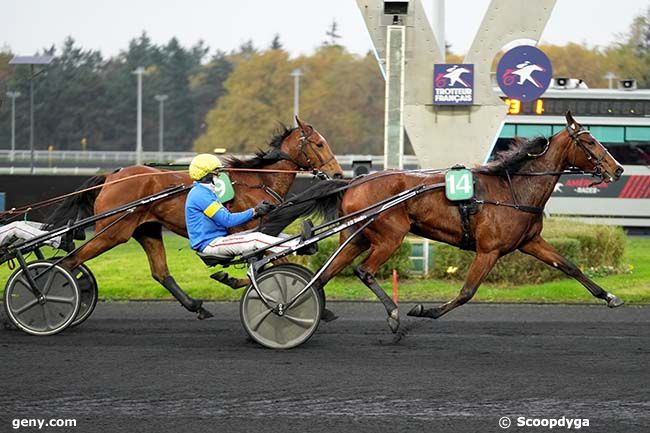 17/11/2024 - Vincennes - Prix Guy Deloison : Arrivée