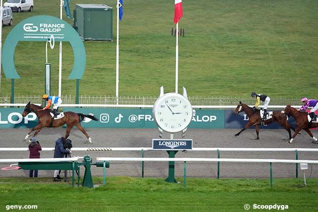 30/12/2024 - Chantilly - Prix du Parc des Aigles : Arrivée