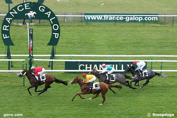 20/06/2008 - Chantilly - Prix du Labyrinthe : Result