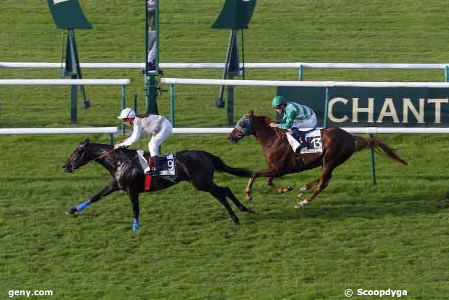 13/10/2008 - Chantilly - Prix de la Chaussée Neuve : Arrivée