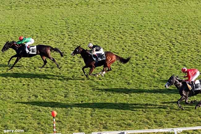 23/10/2008 - Maisons-Laffitte - Prix de Conflans Sainte-Honorine : Ankunft