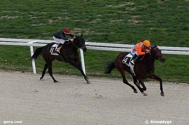 11/02/2009 - Cagnes-sur-Mer - Prix de Brignoles : Arrivée