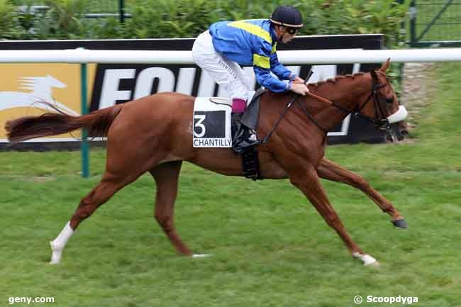 17/07/2009 - Chantilly - Prix de Vineuil : Ankunft