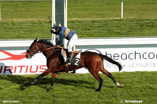 14/10/2010 - Bordeaux-Le Bouscat - Grande Course de Haies des 4 ans : Ankunft