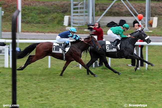 01/11/2010 - Maisons-Laffitte - Prix Aveu : Result