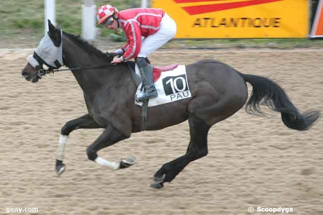 28/01/2011 - Pau - Prix de Gourette : Arrivée