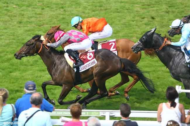 01/08/2011 - Clairefontaine-Deauville - Prix des Jonquilles : Arrivée