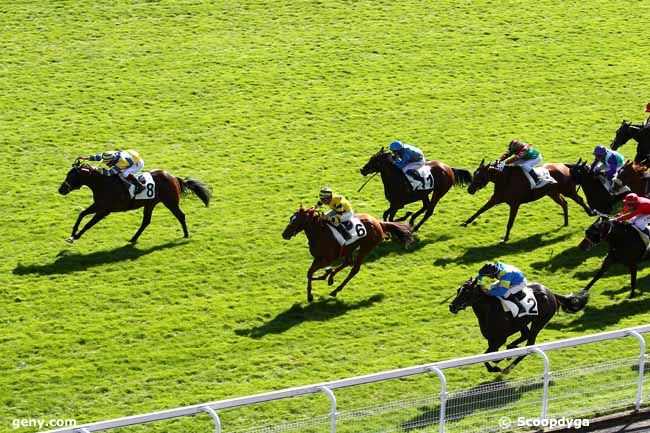 01/10/2012 - Maisons-Laffitte - Prix du Pavillon de la Muette : Arrivée