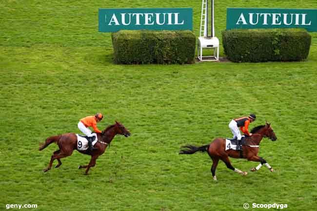 28/09/2013 - Auteuil - Prix Mandarin : Arrivée