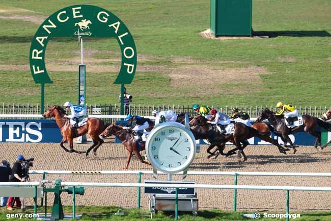 16/03/2017 - Chantilly - Prix Montenica : Arrivée