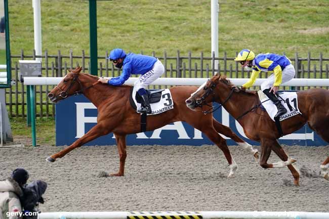 18/03/2021 - Chantilly - Prix Montenica : Arrivée