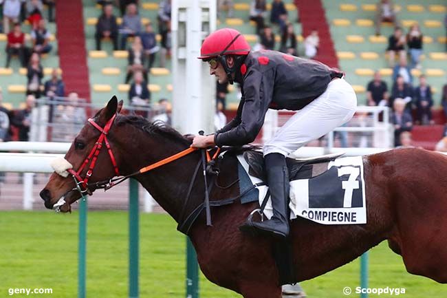 29/10/2022 - Compiègne - Prix Colonel d'Englesqueville : Arrivée