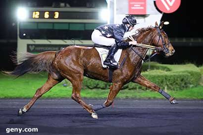 24/11/2023 - Vincennes - Prix Vibilia : Arrivée