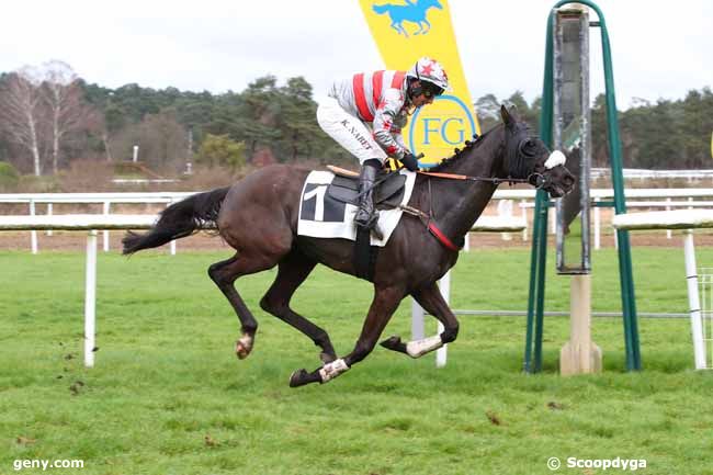 26/02/2024 - Fontainebleau - Prix Capitaine Labonde : Arrivée