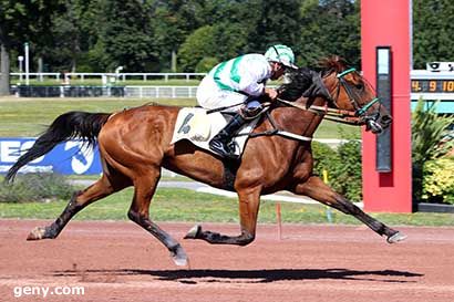 10/08/2024 - Enghien - Prix de la Place Vauban : Arrivée