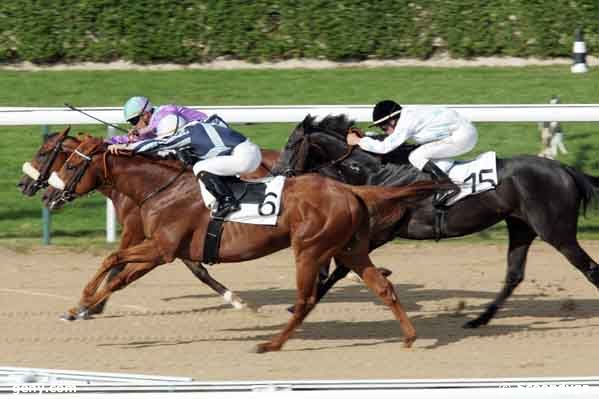 06/08/2008 - Deauville - Prix du Ribardon : Ankunft