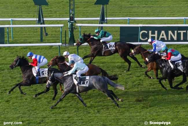 13/10/2008 - Chantilly - Prix de la Chaussée du Roi : Arrivée