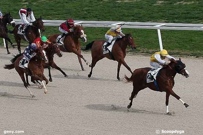 11/02/2009 - Cagnes-sur-Mer - Prix de Compiègne : Arrivée