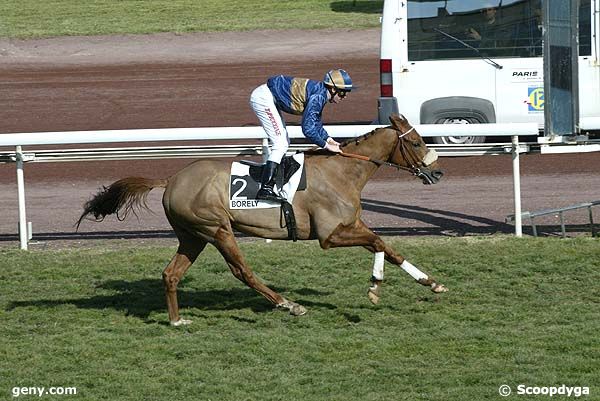 23/02/2009 - Marseille-Borély - Prix de Sainte-Marthe : Ankunft