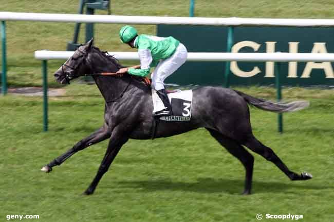 17/07/2009 - Chantilly - Prix de Morancy : Ankunft