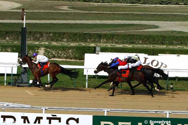 22/08/2009 - Deauville - le Galop Hermès 2ème Manche : Ankunft