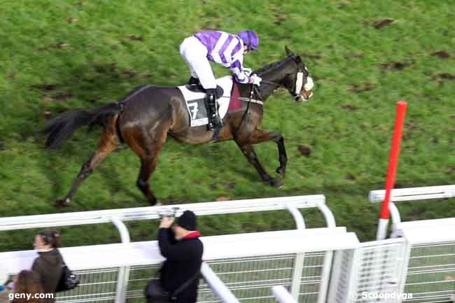 28/11/2010 - Auteuil - Prix Santo Pietro : Result